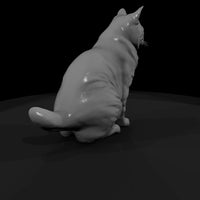 a-collection-of-housecats-manx-ab5ed3df-meshref — thumbnail 3