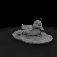 ant-096-mandarin-duck-adolescent — thumbnail 3