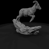 ant-057-bighorn-sheep-adolescent — thumbnail 3