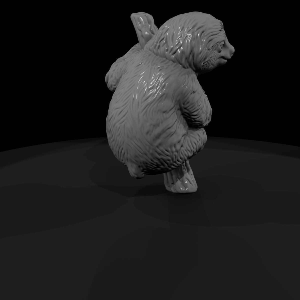 ant-204-three-toed-sloth-adolescent