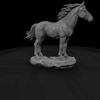 ww-0287-animal-wild-mustang — thumbnail 3