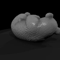 ant-207-giant-panda-adolescent — thumbnail 3