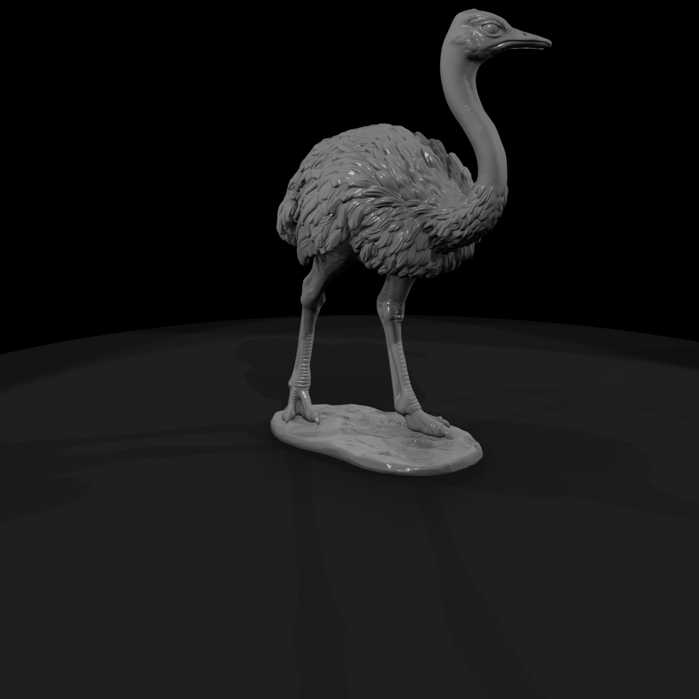 Ant 083 Ostrich Female