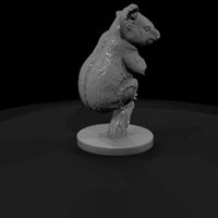 ant-265-koala-male — thumbnail 3