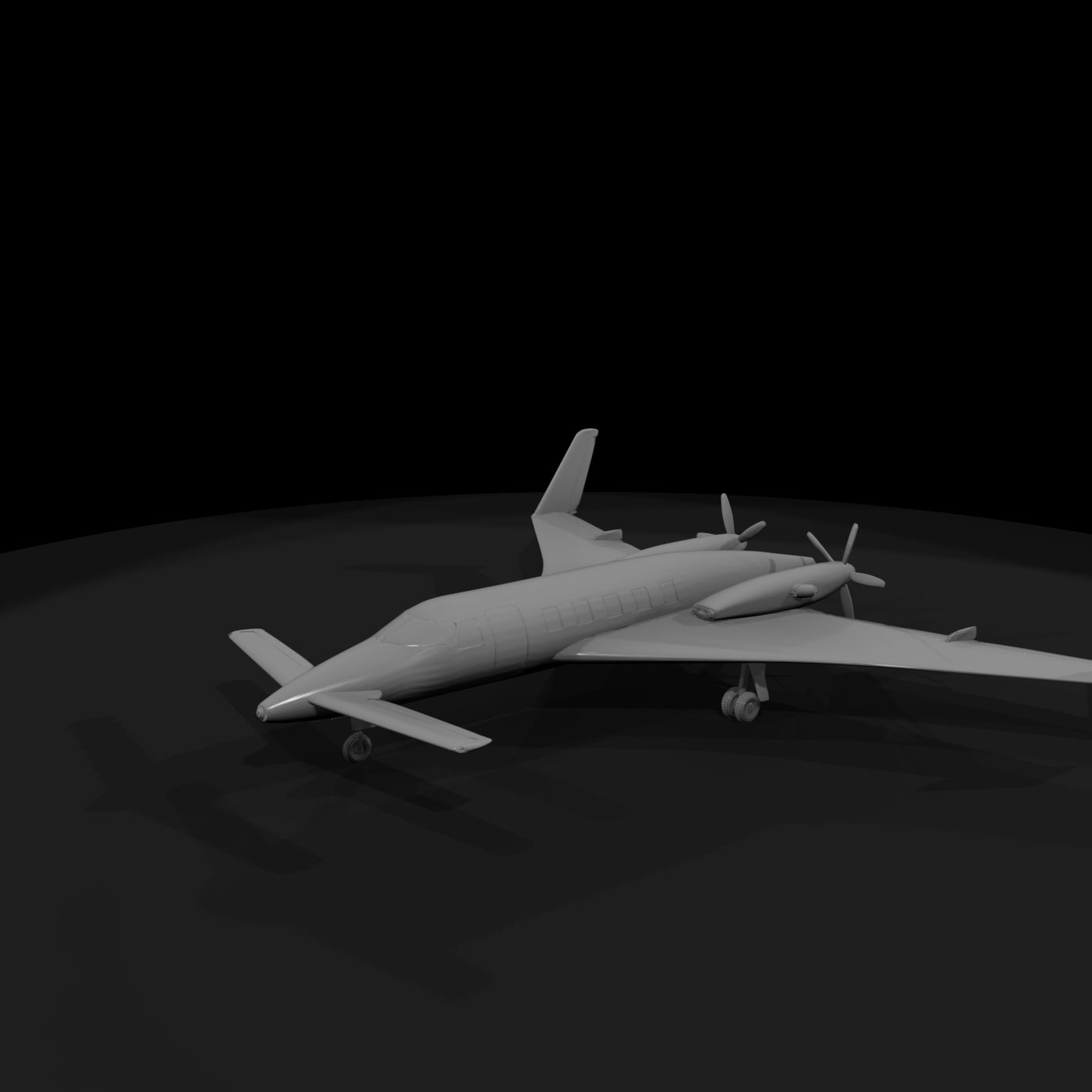 beach-starship-2025
