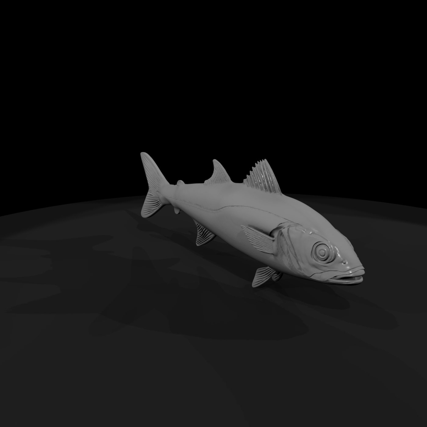 Realistic Saltwater Fish