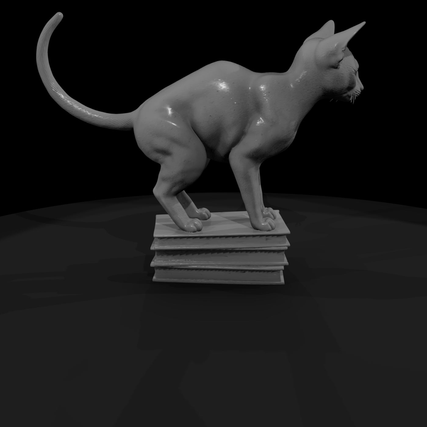 a-collection-of-housecats-abyssinian-77110fe8-mesh