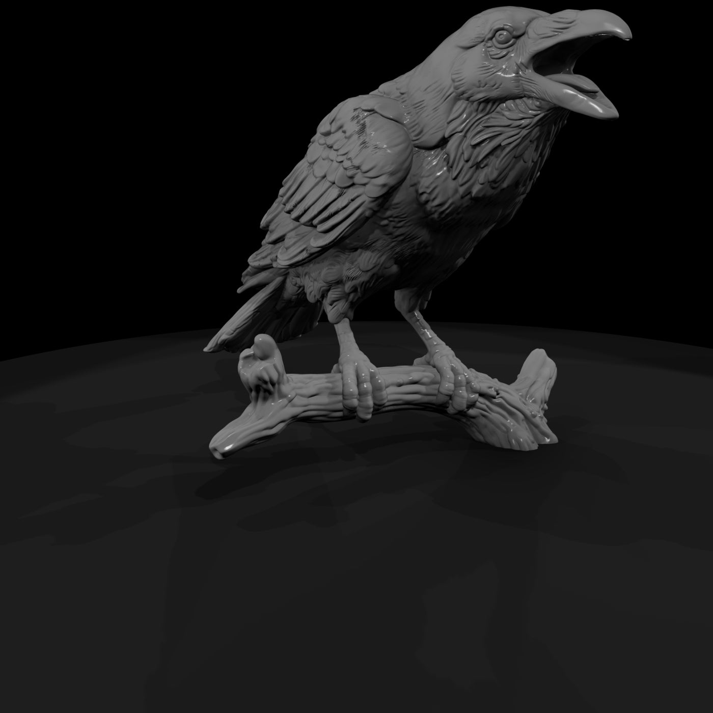 ww-0347-animal-common-raven