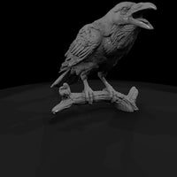 ww-0347-animal-common-raven — thumbnail 3