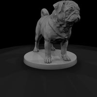 anim-12-pug-640296 — thumbnail 3