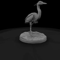 ant-290-great-blue-heron-female — thumbnail 3