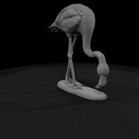 ant-128-greater-flamingo-female — thumbnail 3