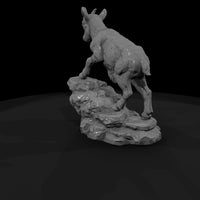 ant-279-alpine-ibex-adolescent — thumbnail 3