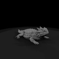 ww-0336-animal-horned-lizard — thumbnail 3