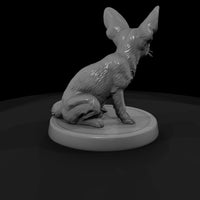 ant-175-fennec-fox-male — thumbnail 3