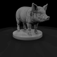 anim-19-pig-5f9cbb — thumbnail 3