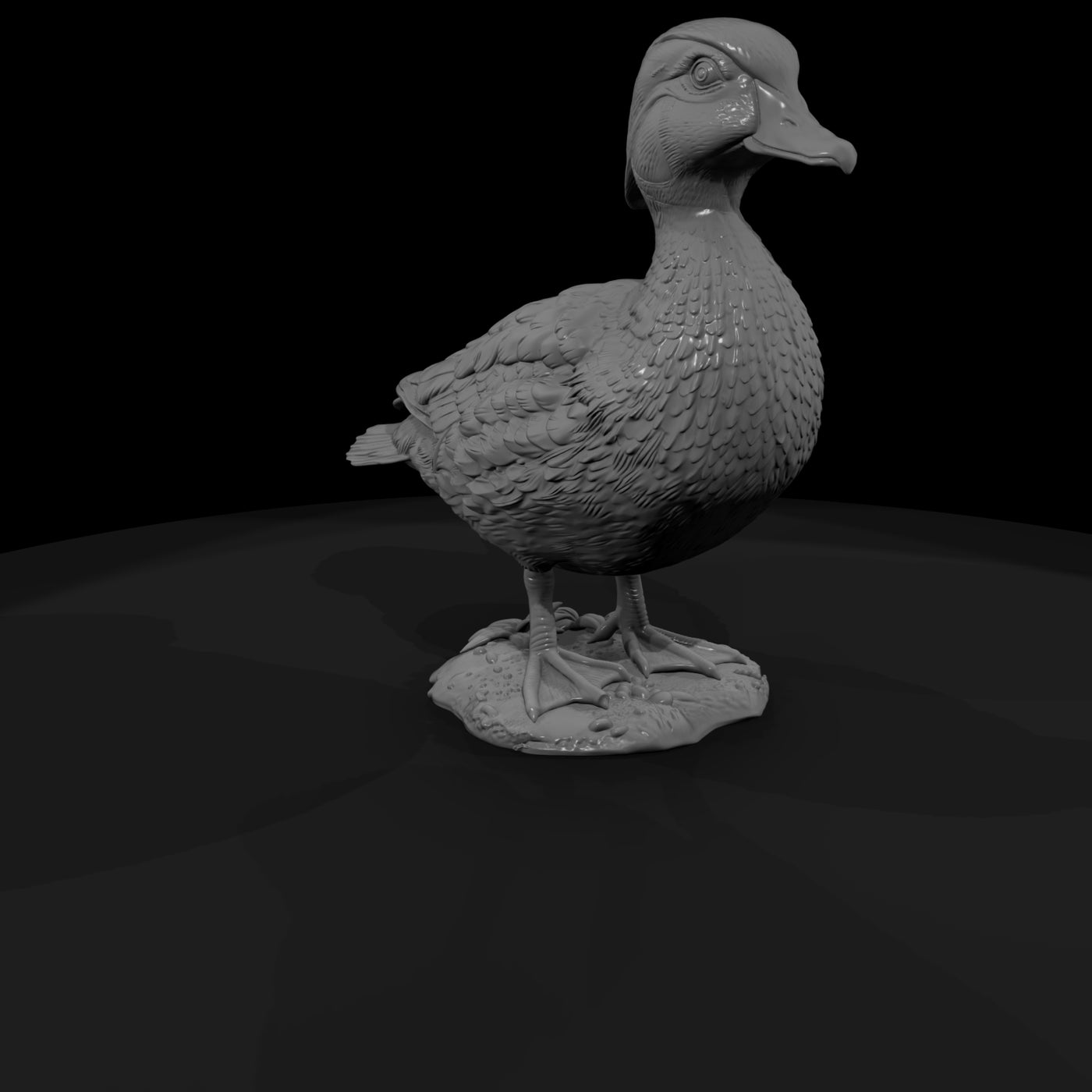 ant-092-wood-duck-female