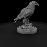 ant-116-golden-eagle-female — thumbnail 3