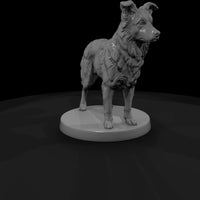 anim-11-border-collie-0762c7 — thumbnail 4