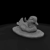 ant-094-mandarin-duck-male — thumbnail 3