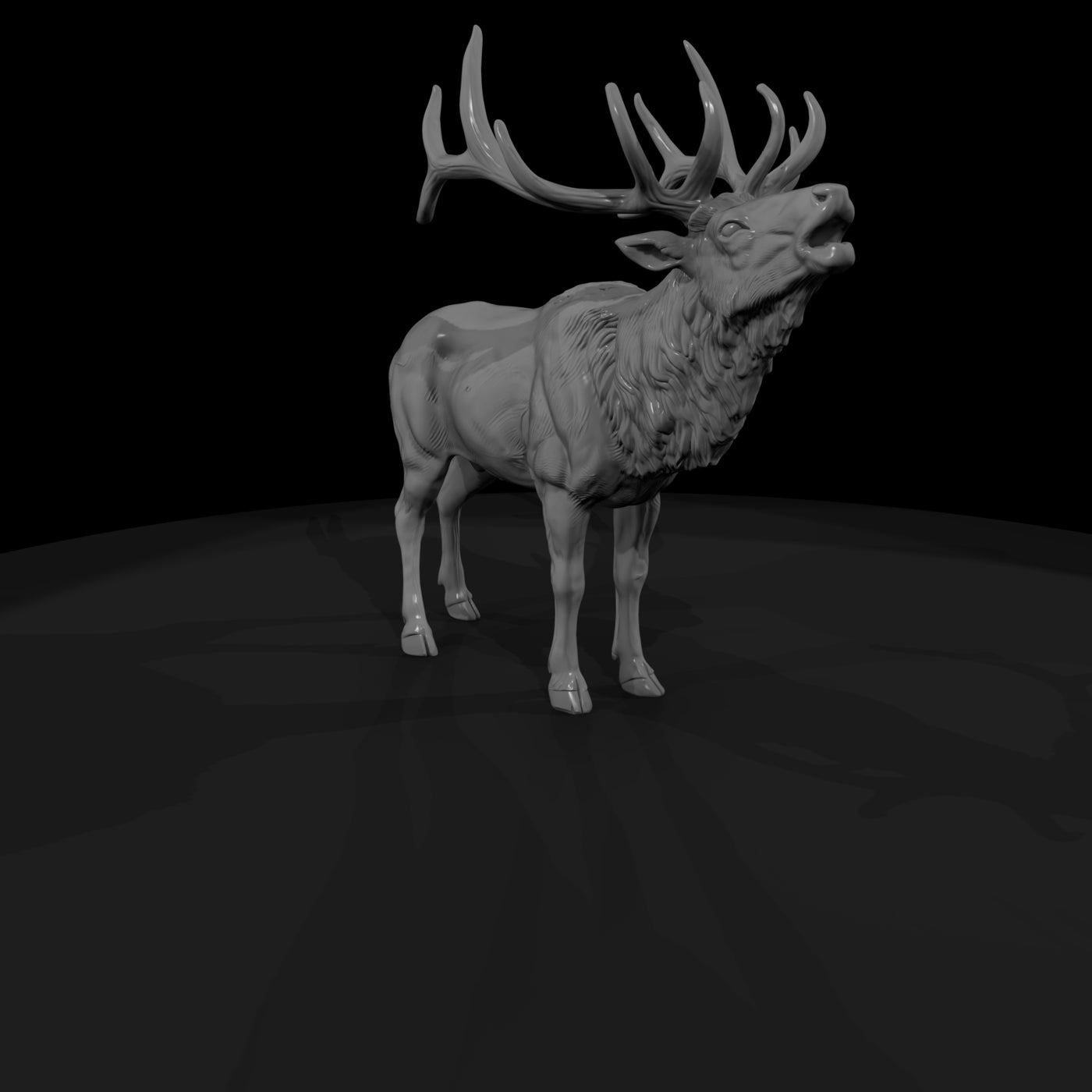 ww-0331-animal-elk