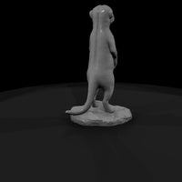 ant-190-meerkat-male — thumbnail 3
