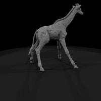 ant-027-giraffe-adolescent — thumbnail 3
