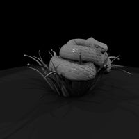 coiled-snake-on-grass-miniature-891642 — thumbnail 4