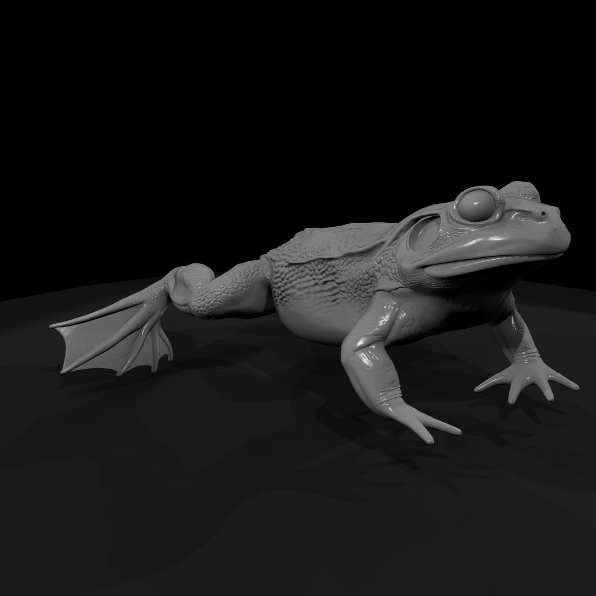 winged-fantasy-frog-miniature-tabletop-diorama-141296