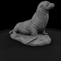 ant-140-sea-lion-female — thumbnail 3