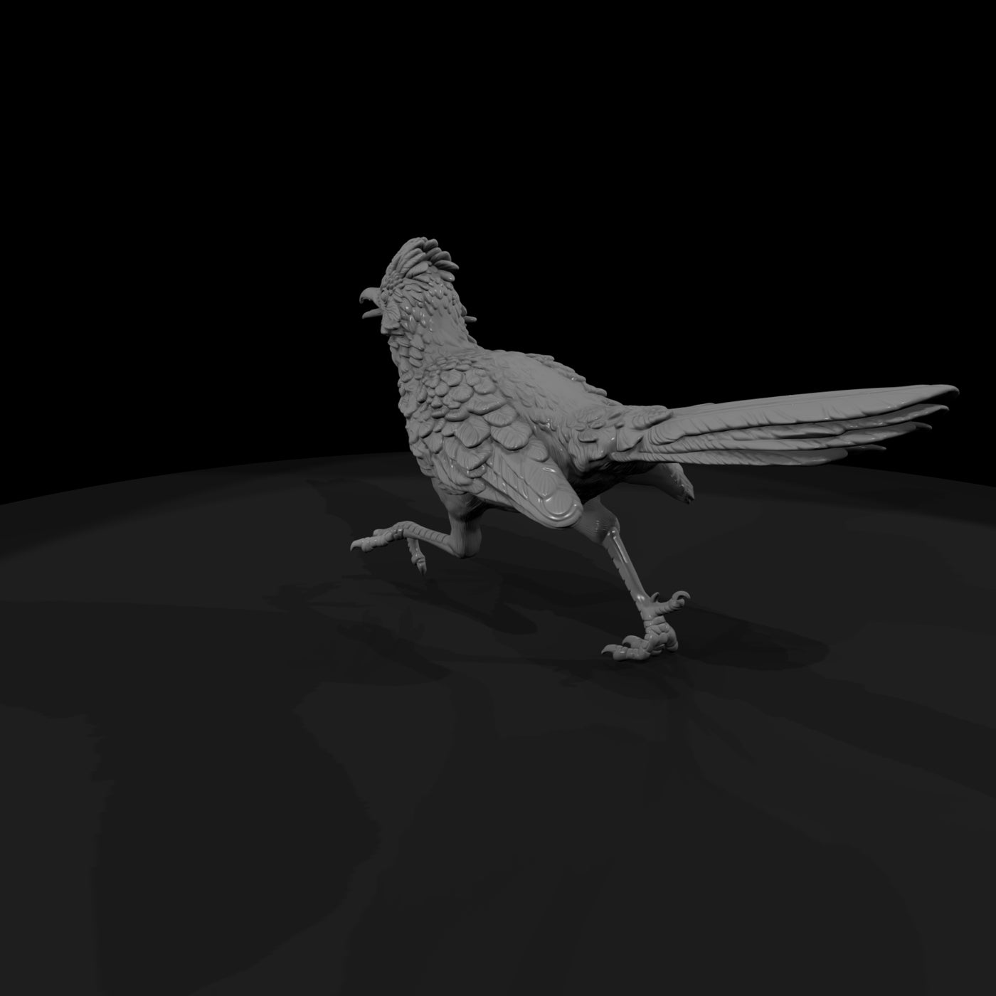 ww-0348-animal-roadrunner