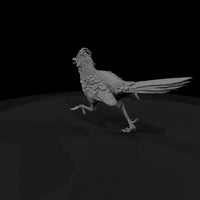 ww-0348-animal-roadrunner — thumbnail 3