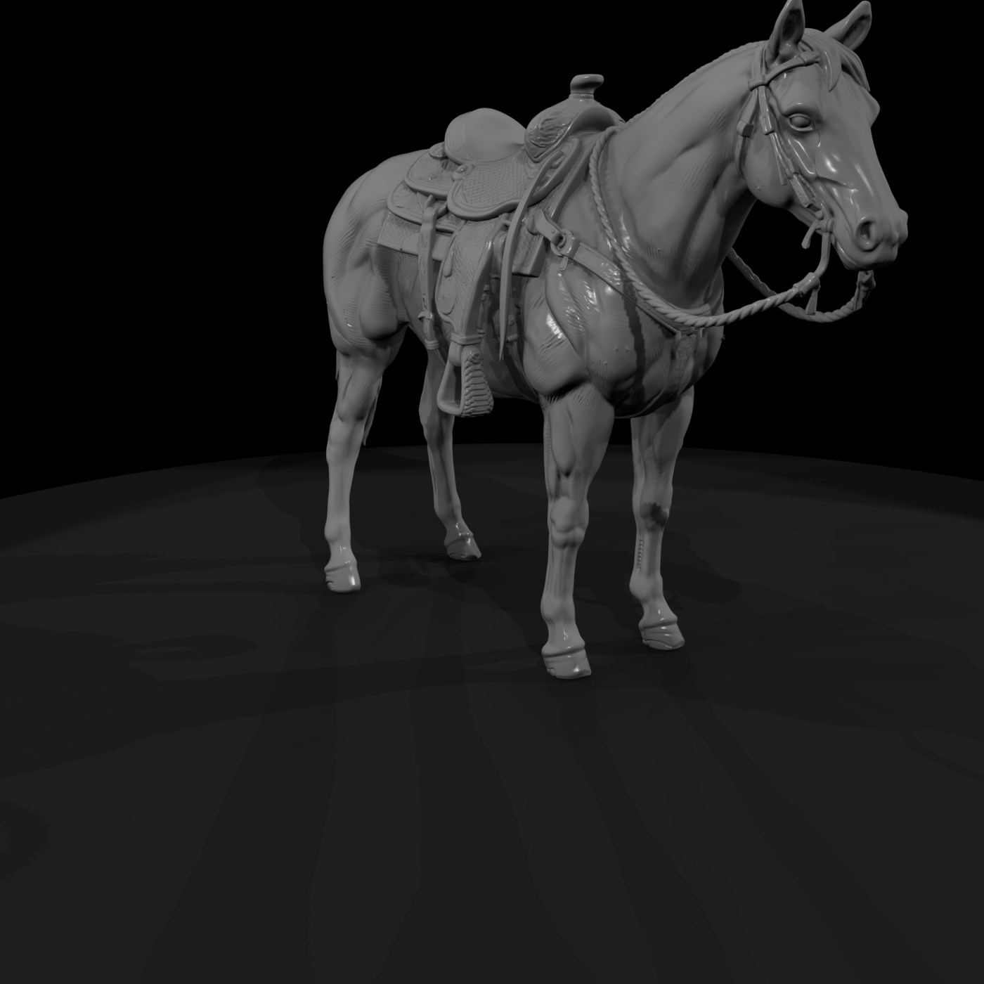 Ww 0284 Animal Saddle Horse