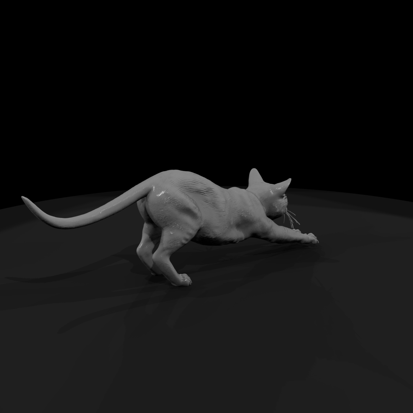 A Collection Of Housecats Gray Db27F8Fd Meshref