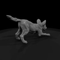 ant-168-african-wild-dog-adolescent — thumbnail 3