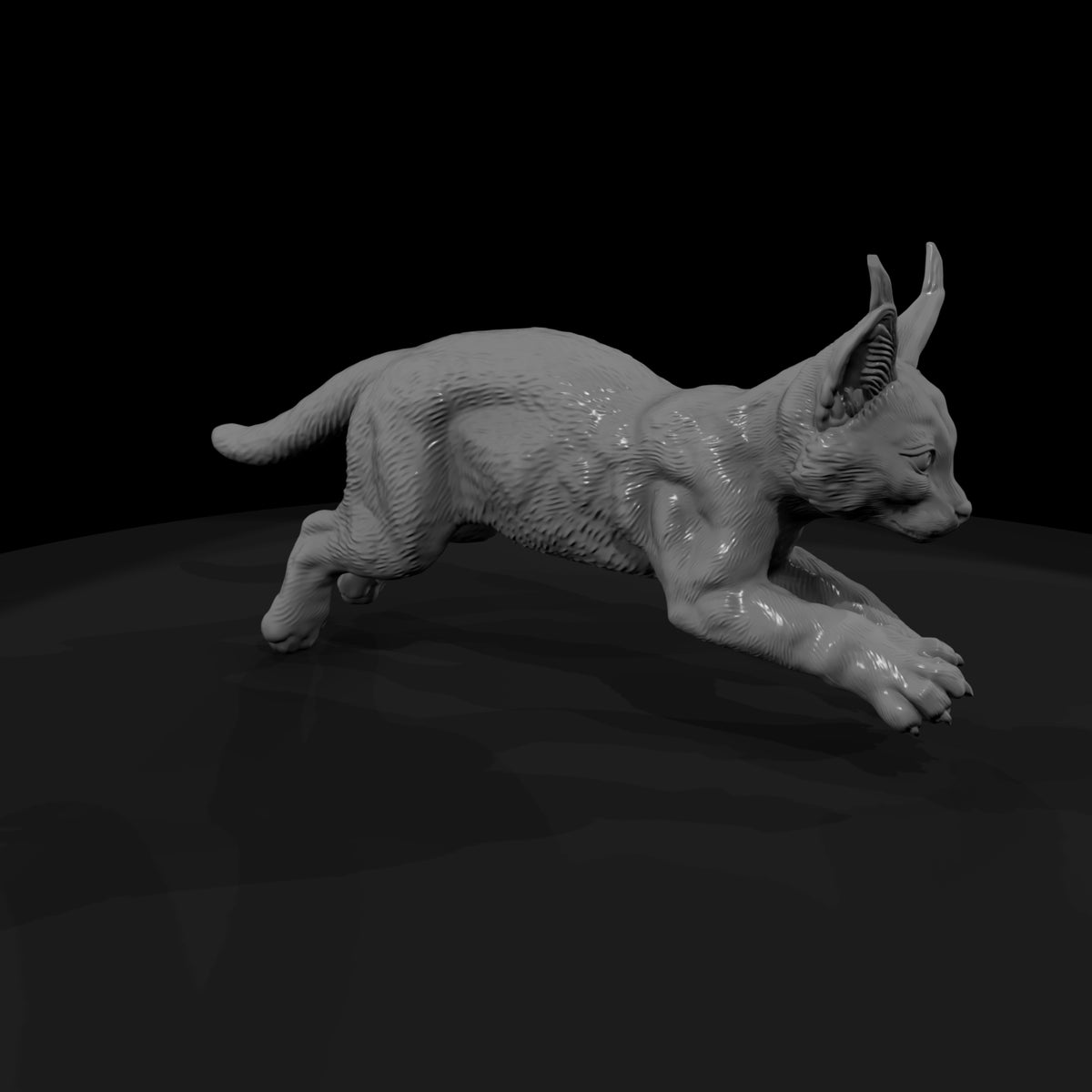 ant-165-caracal-adolescent