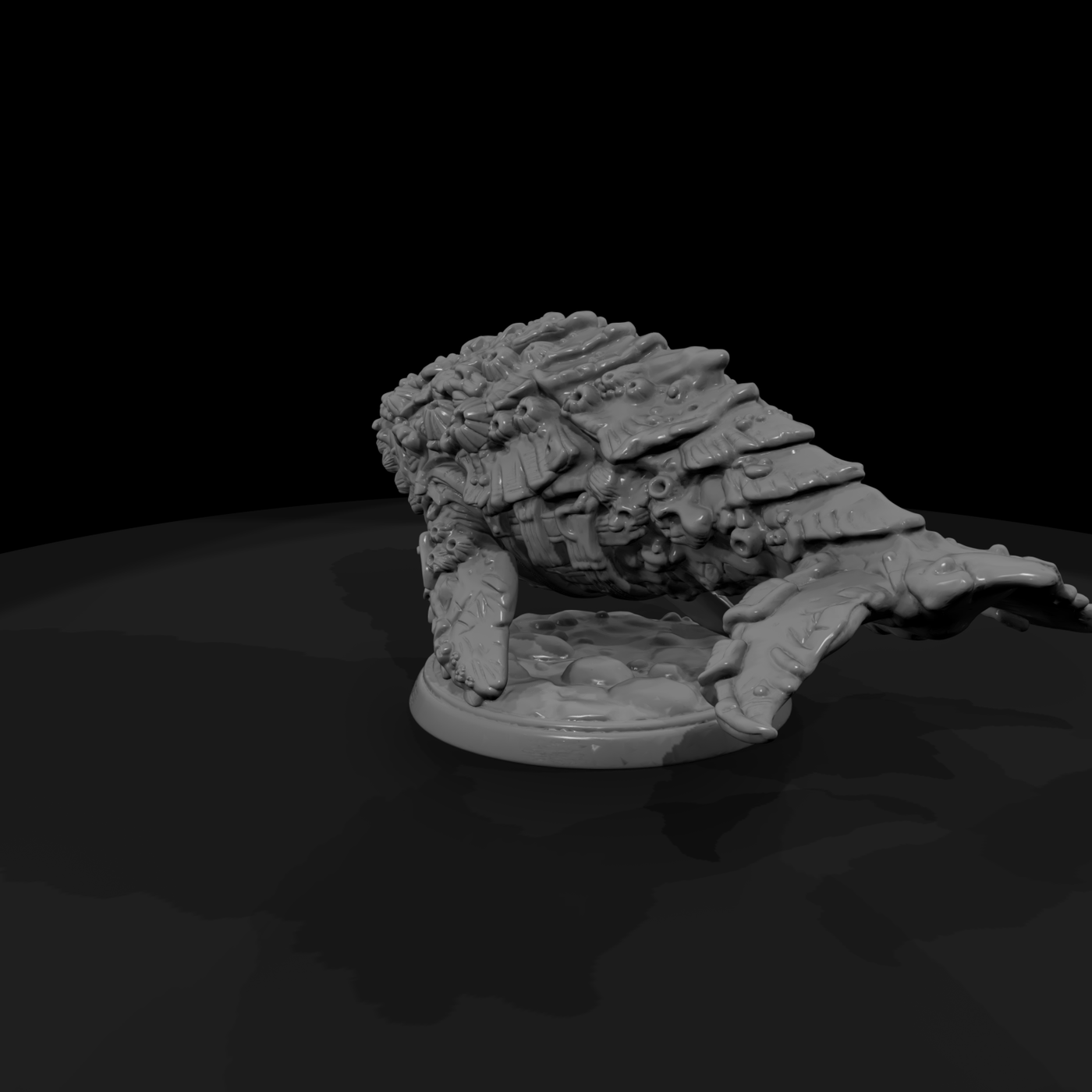 Creature Barnacle Hide Whale Calf