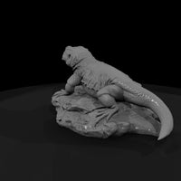 ww-0337-animal-chuckwalla — thumbnail 3