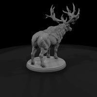 creature-p009 — thumbnail 3