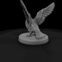 cir-133-animal-magician-s-dove — thumbnail 3