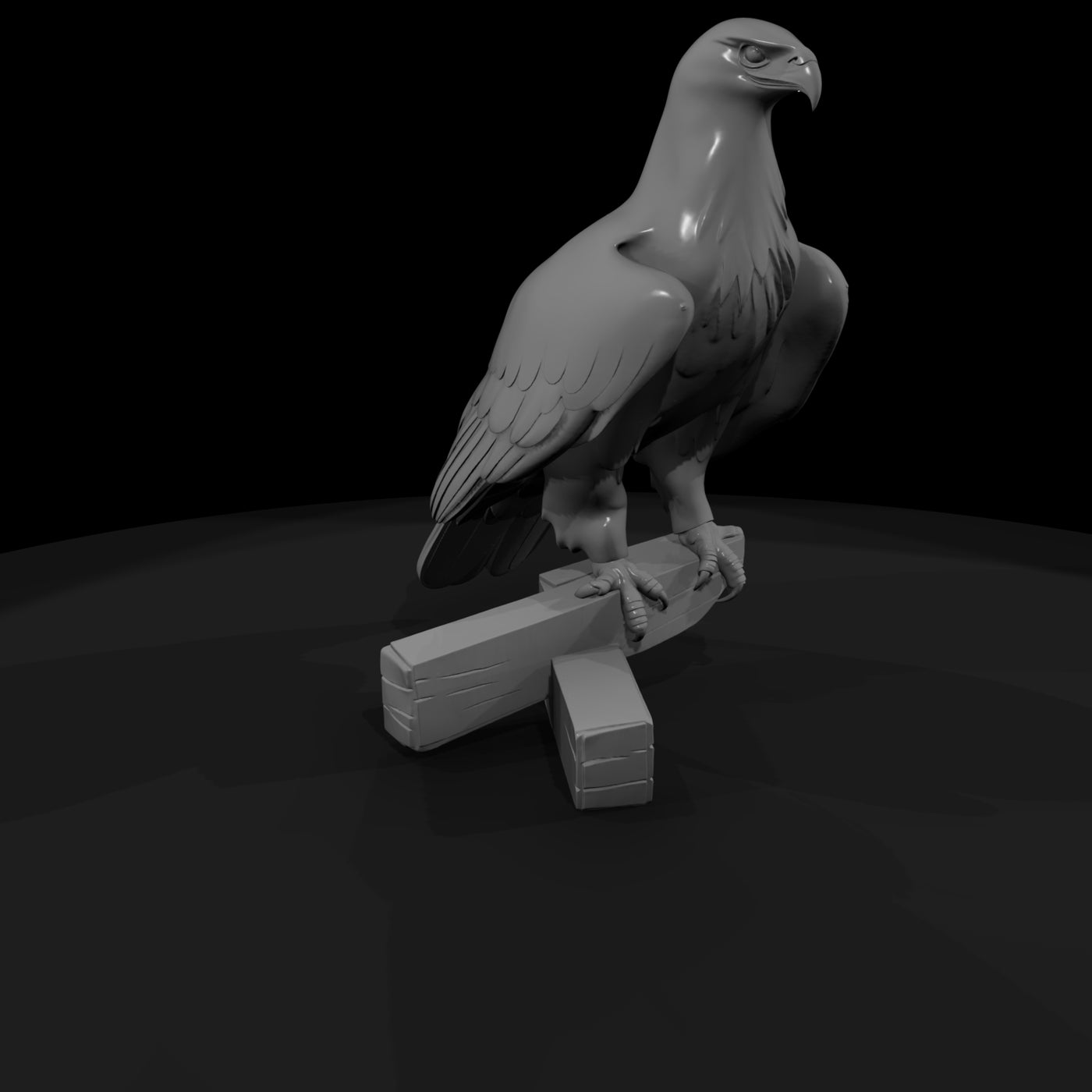 model_1ortllja