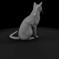 a-collection-of-housecats-russian-64ae224e-meshref — thumbnail 3