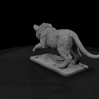 ant-003-lion-adolescent — thumbnail 3