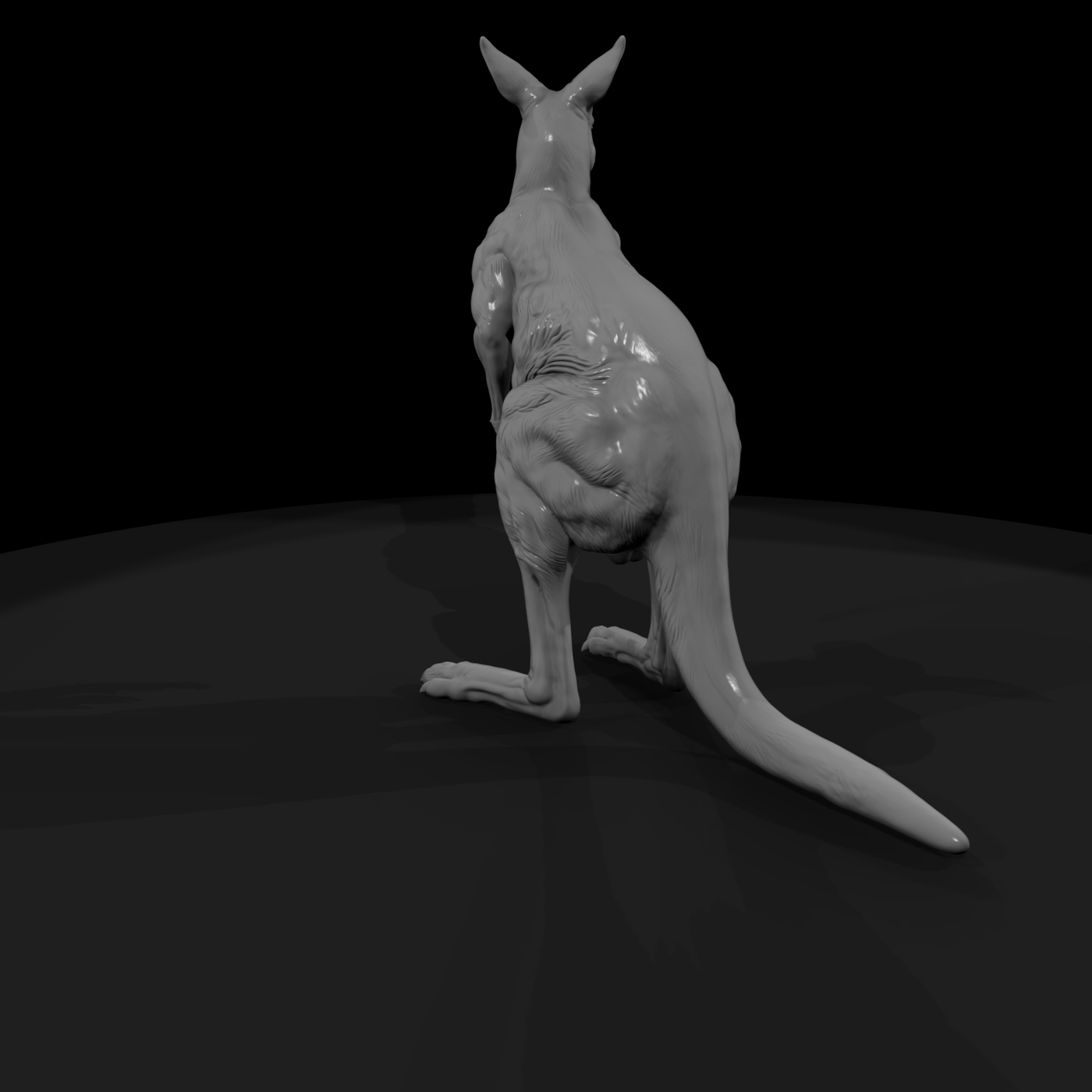 Ant 079 Red Kangaroo Male