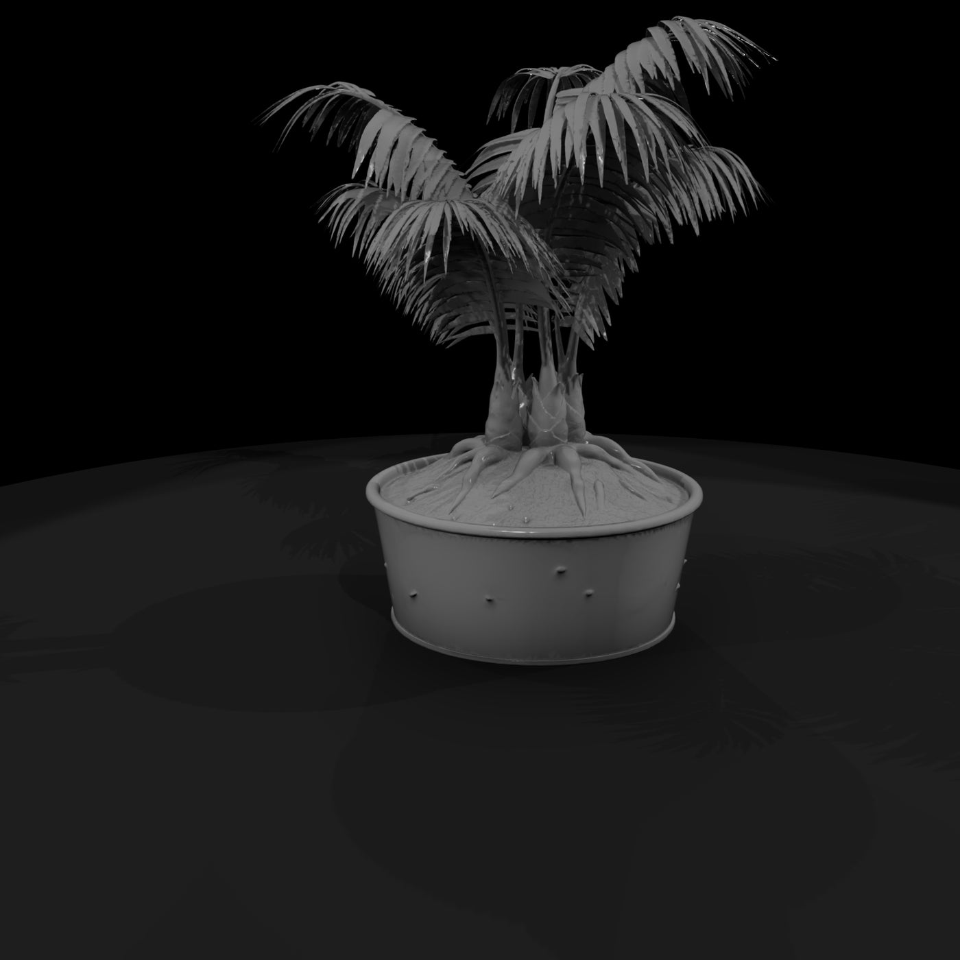 potted-palm-plant-miniature-643506
