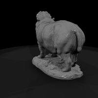 ant-034-hippopotamus-male — thumbnail 3