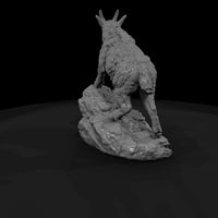 ant-060-mountain-goat-adolescent — thumbnail 3