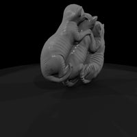 sculpted_cuddling_tabby_kittens_3d_model_lrkgskxy — thumbnail 3