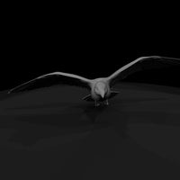 1980s-miami-beach-seagull-in — thumbnail 5