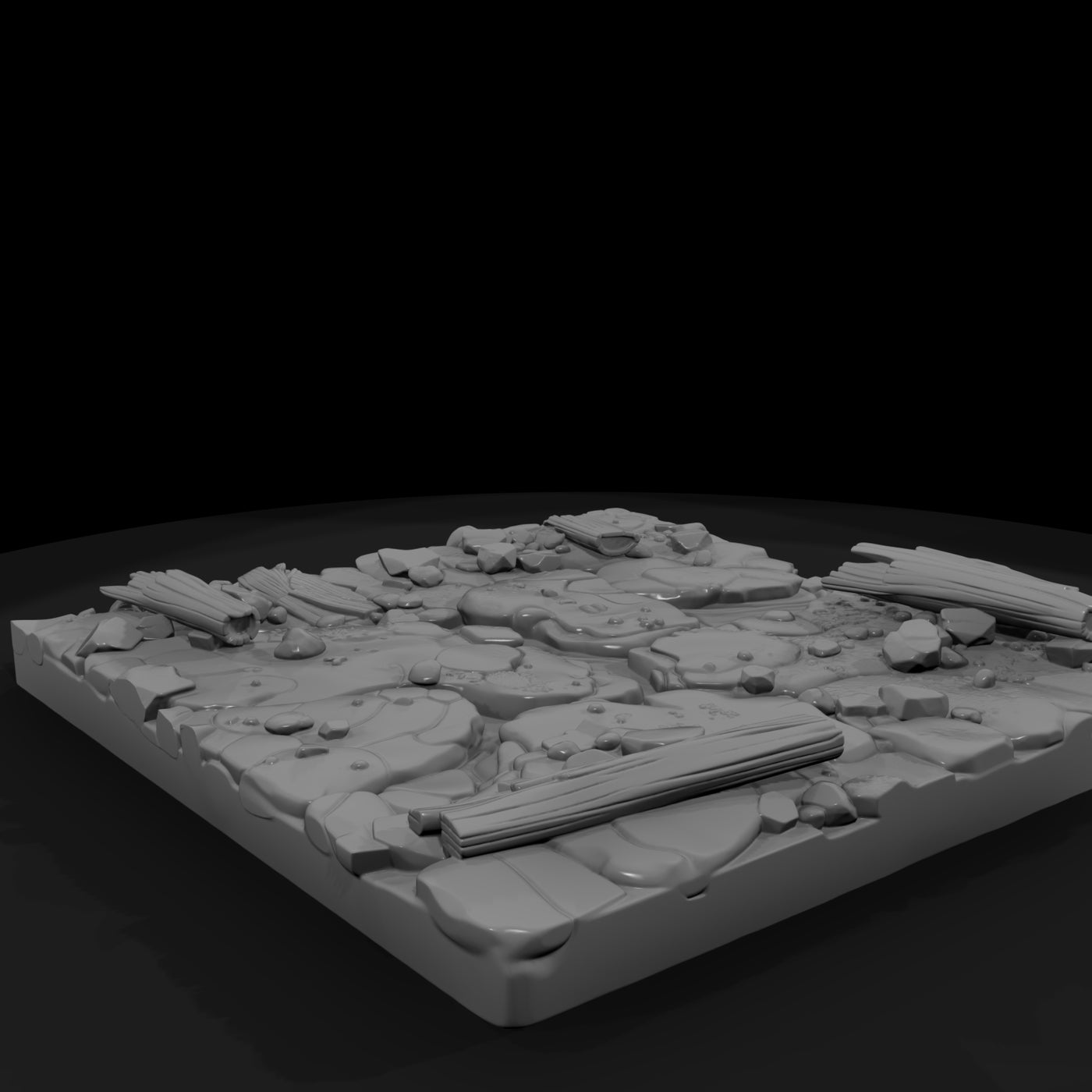 hitem2-p013-mud-flat-patch